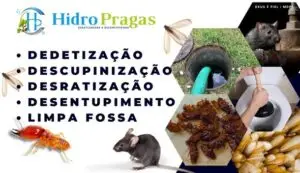 Leia mais sobre o artigo Dedetizadora Caraguatatuba Especialistas em Controle de Cupins de Solo, Oferecemos preços promocionais e um atendimento de qualidade. Ligue agora mesmo: (12) 99708-0325.