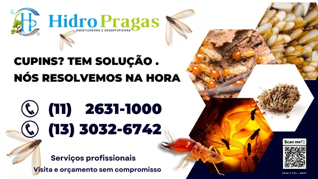 controle de cupim sao caetano do sul