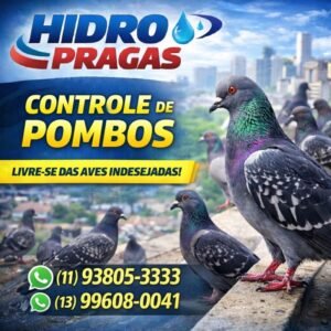 Leia mais sobre o artigo Controle de Pombos Eficaz: Proteja Seu Espaço! Ligue Agora Mesmo ou Chame WhatsApp: (11) 93805-3333