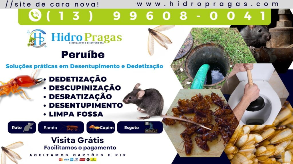 Dedetização de Cupim em Peruibe