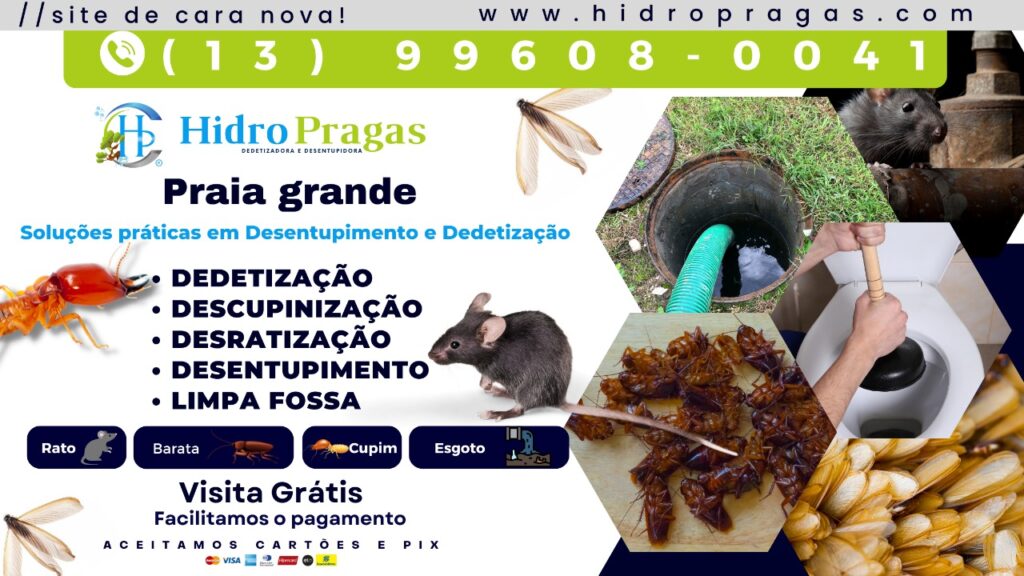 Dedetizacao de Cupim em Praia Grande