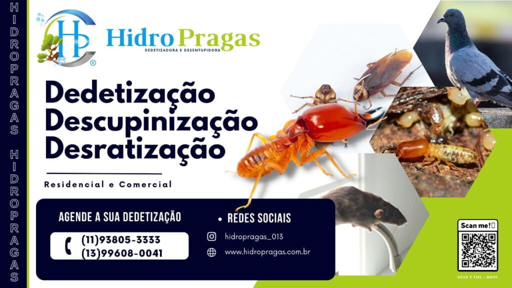 como acabar com cupim