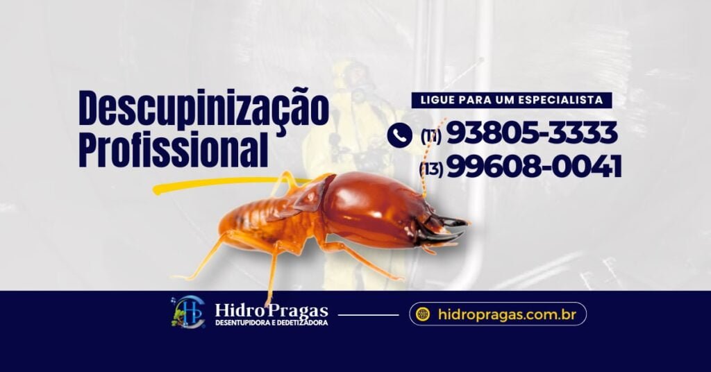 dedetizacao de cupim em santo andre