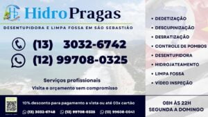 Leia mais sobre o artigo Dedetização de Cupim em São Sebastião: Tudo Sobre Cupim de Solo, Proteja seu Imóvel com a Hidro Pragas. Entre em Contato Agora Mesmo! (12) 99708-0325.