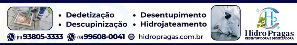 Como Escolher a Melhor Desentupidora em Mongagua