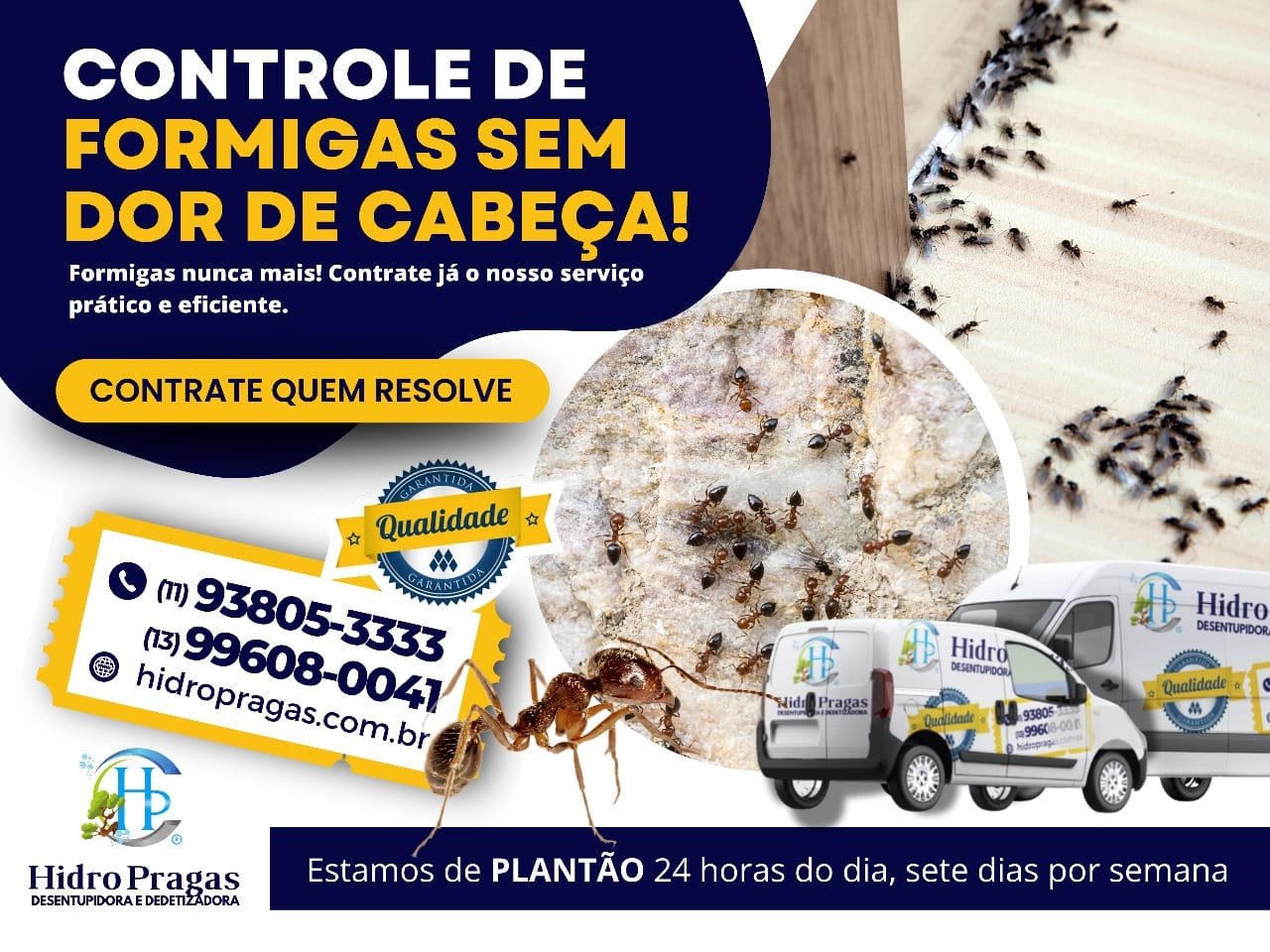 Controle de Formigas em dor de cabeça