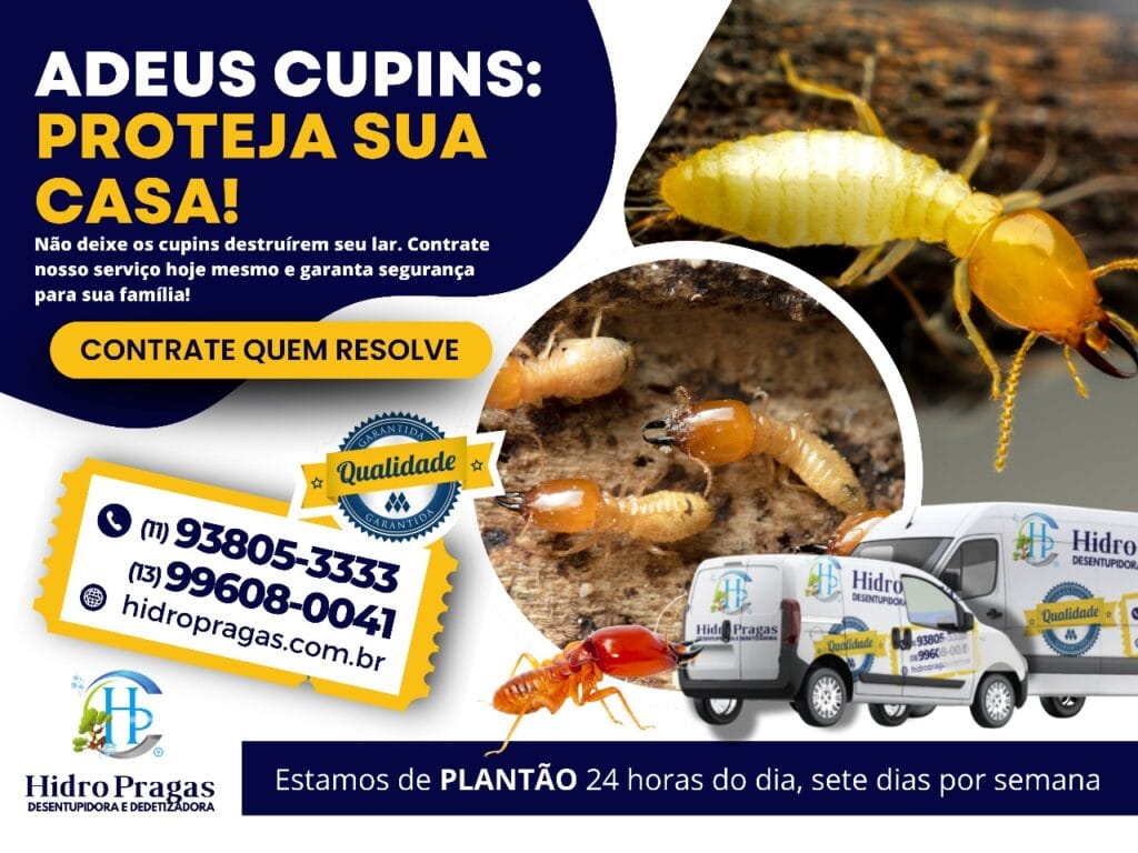 descupinizacao em mongagua