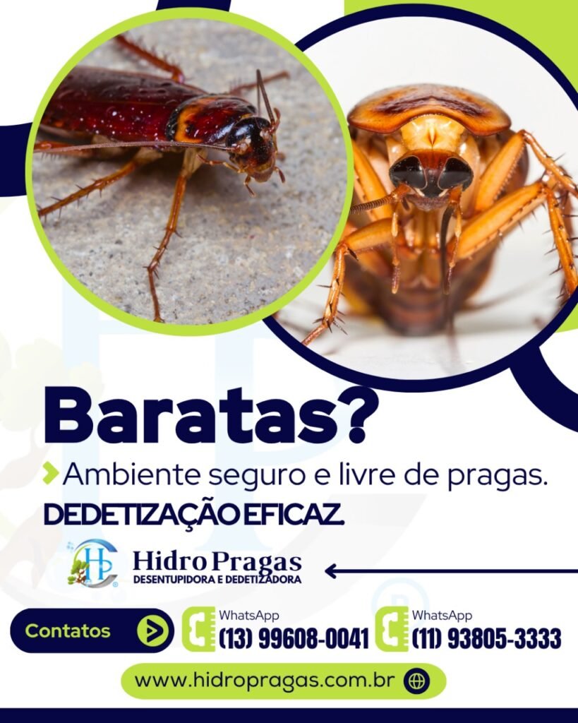 controle de baratas